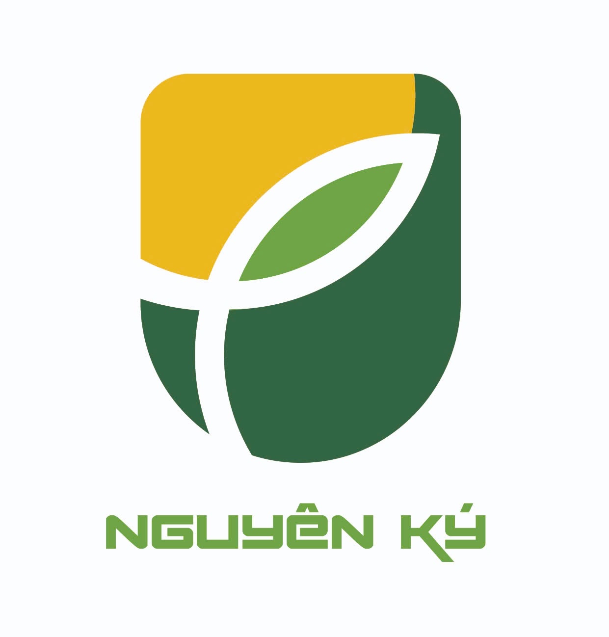 Nguyên Ký